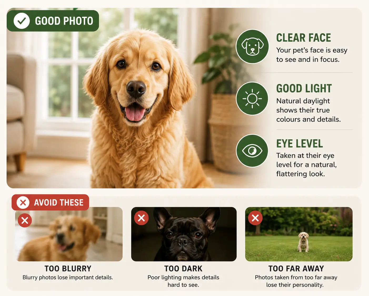 Pet photo guide showing a clear close-up dog photo with natural light and eye-level tips, plus examples to avoid such as blurry, dark and far-away photos.